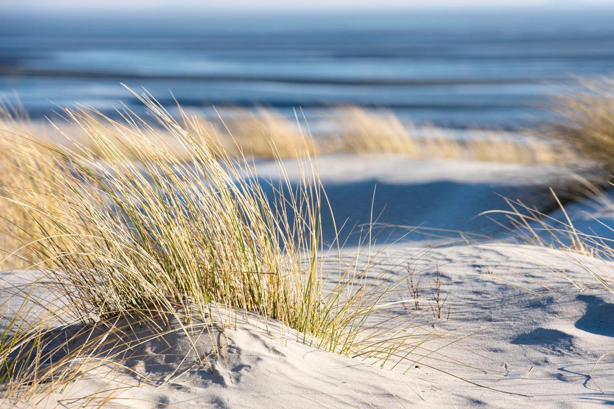 Baumzeltdorf Ostseebreeze Direkt Am Strand Dranske Exterior foto